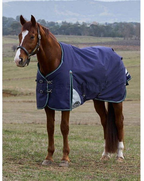 Weatherbeeta Weatherbeeta Comfitec Plus Dynamic Standard Neck - 0g