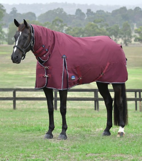 Weatherbeeta Weatherbeeta Comfitec Essential Combo Neck - 360g