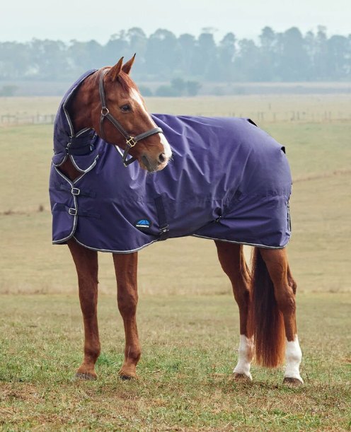 Weatherbeeta Weatherbeeta Comfitec Tyro Combo Neck - 360g