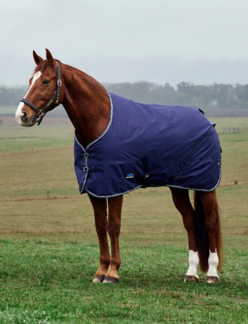 Weatherbeeta Weatherbeeta Comfitec Tyro Standard Neck - 50g