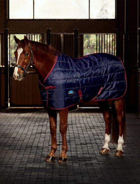 Weatherbeeta Weatherbeeta Comfitec 210D Channel Quilt Standard Neck - 100g