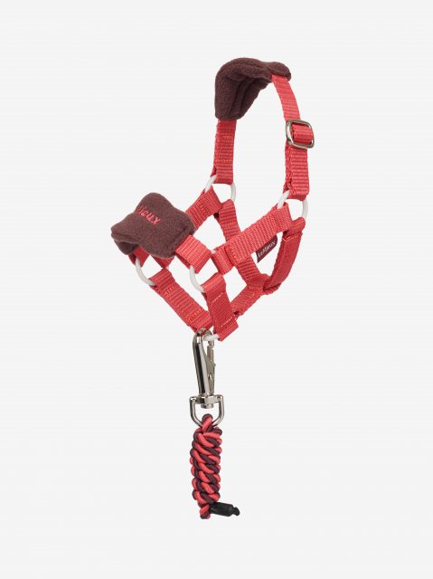 LeMieux LeMieux Toy Pony Vogue Headcollar - Cranberry
