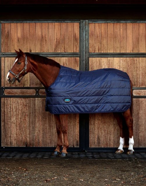 Weatherbeeta Weatherbeeta Comfitec Liner - 100g