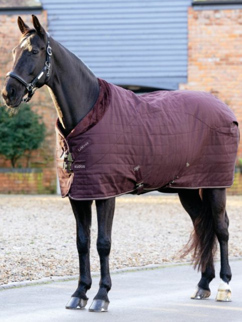LeMieux LeMieux Kudos Luxe Lined Stable Rug - Damson