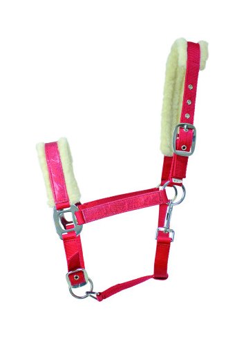 Hy Hy Christmas Santa Headcollar