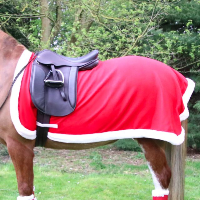 Hy Hy Christmas Santa Exercise Sheet