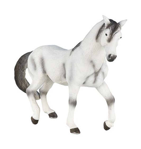 Mojo: Andalusian Grey