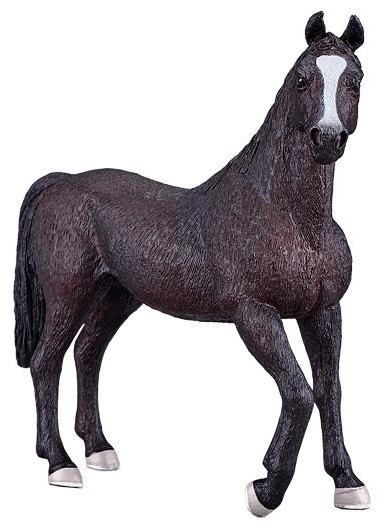 Mojo: Arabian Stallion Black