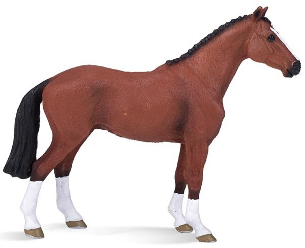 Mojo: Dutch Warmblood