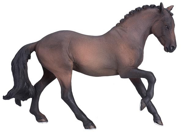 Mojo: Hanoverian Mare Bay