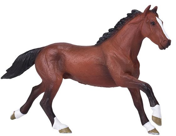 Mojo: Thoroughbred