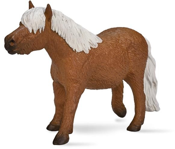Mojo: Shetland Pony
