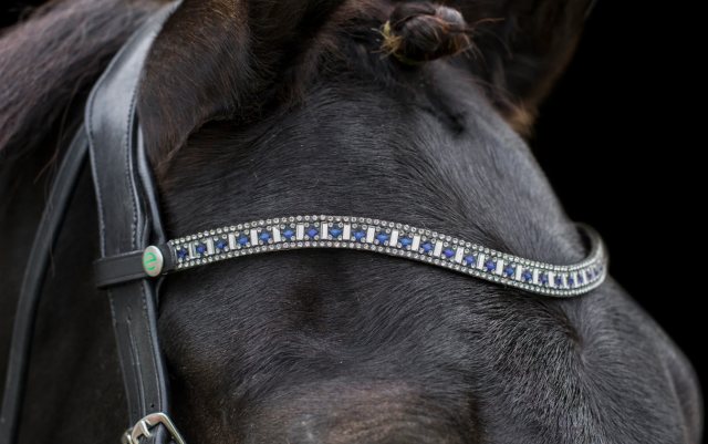 EcoRider Ecorider Freedom Sapphire Browband