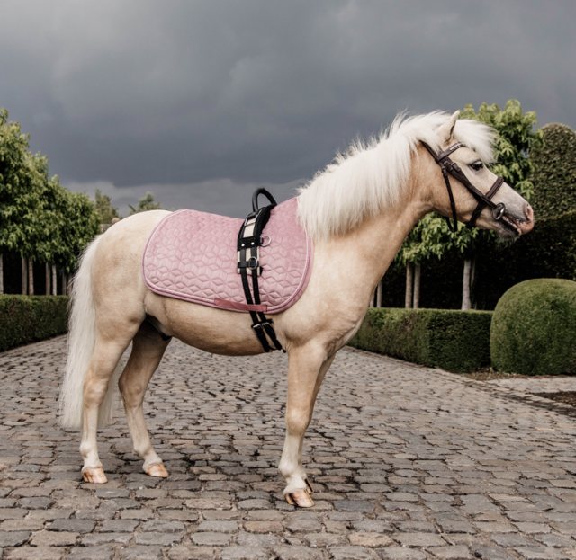 Kentucky Kentucky Velvet Pony Jumping Pad - Old Rose