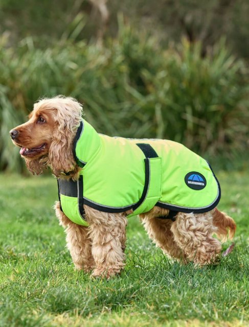 Weatherbeeta Weatherbeeta Reflective 300D Deluxe Showerproof Dog Coat