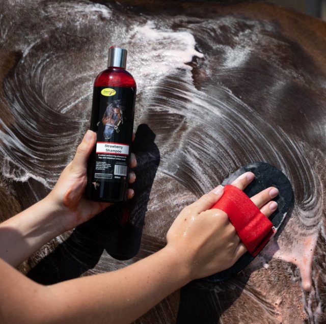 Smart Grooming Smart Grooming Strawberry Red Shampoo