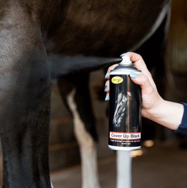 Smart Grooming Smart Grooming Cover Up Spray - Black