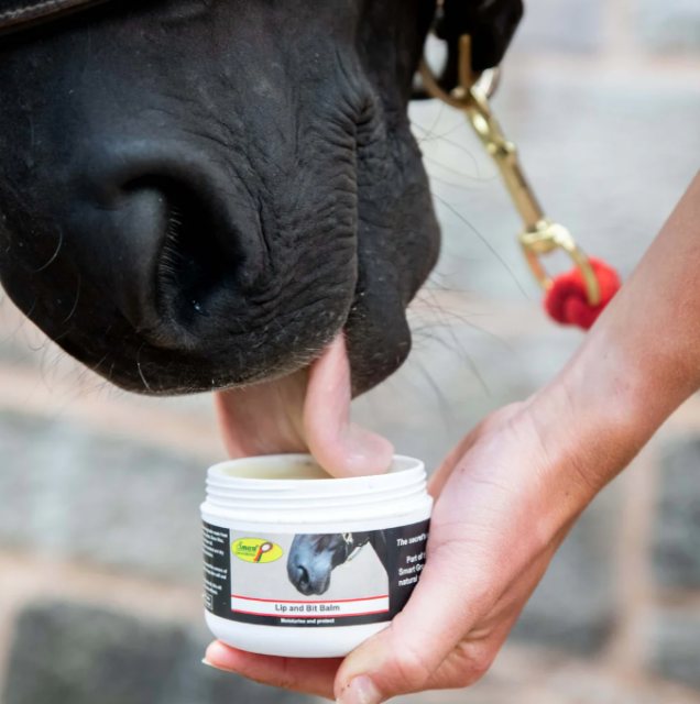 Smart Grooming Smart Grooming Lip & Bit Balm