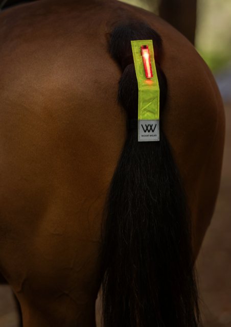 Woof Wear Woof Wear Hi Vis Tail Light