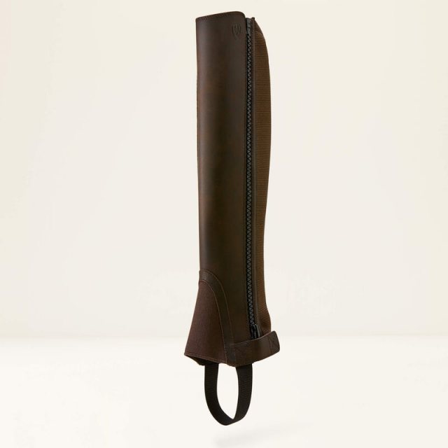 Ariat Ariat Scout Chap Half Chap - Dark Brown