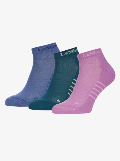 LeMieux LeMieux Trainer Socks - Multi