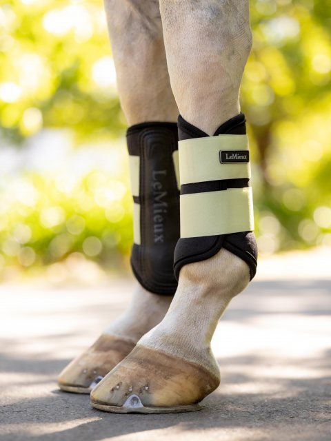 LeMieux LeMieux Air-Tek Grafter Brushing Boots - Macaron