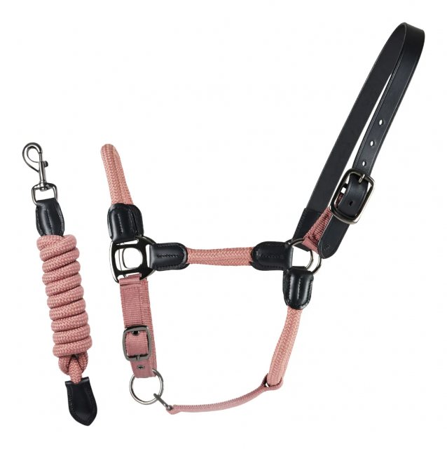 Cameo Equine Rope Leather Halter & Rope