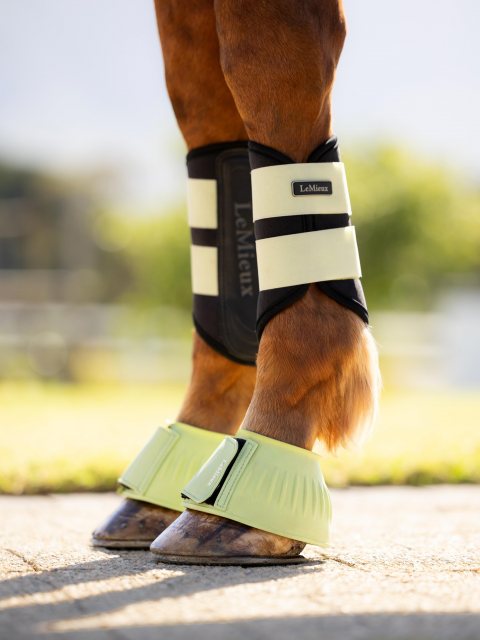 LeMieux LeMieux Rubber Bell Boots - Macaron