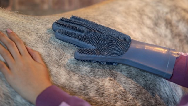 LeMieux LeMieux Washing Glove - Powder Blue