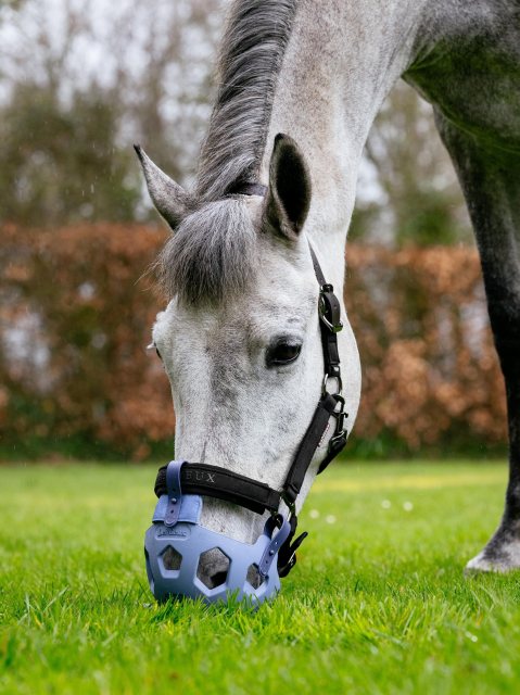 LeMieux LeMieux Noma Grazing Muzzle - Powder Blue