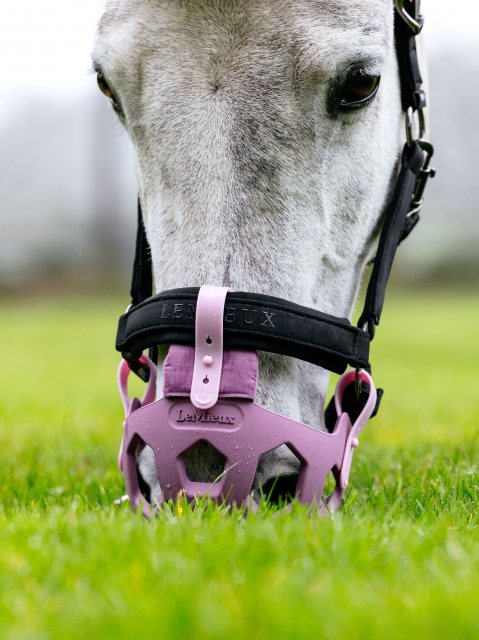LeMieux LeMieux Noma Grazing Muzzle - Mallow
