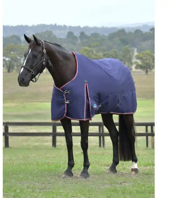 Weatherbeeta Comfitec Essential Turnout - 0g