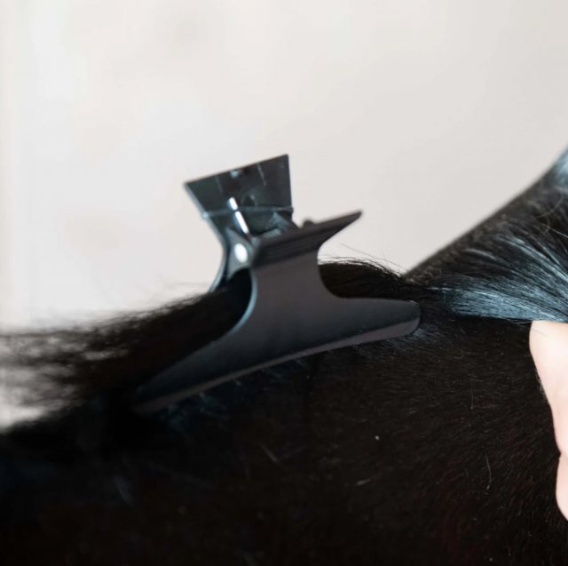 Smart Grooming Smart Grooming Mane Grip