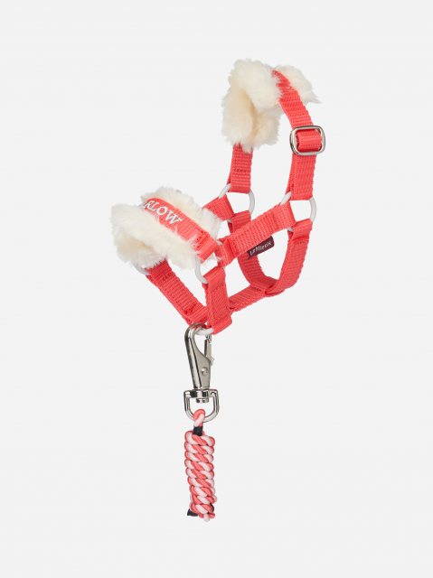 LeMieux LeMieux Harlow Toy Pony Headcollar - Coral Crush