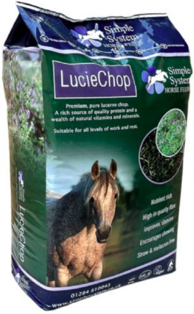Simple System Simple Systems Lucie Chop