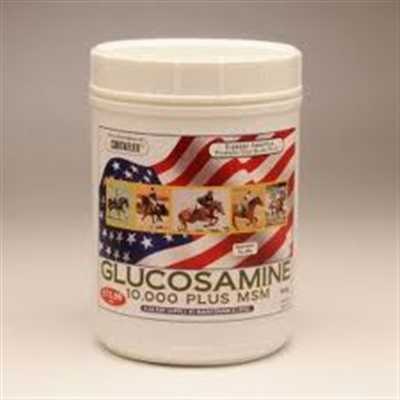 Equine America Glucosamine HCl 12000