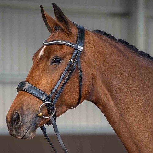 Fairfax Fairfax Crank Cavesson Noseband
