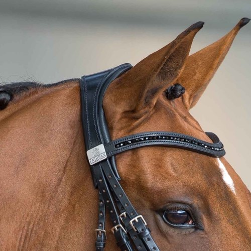 Fairfax Double Bridle Headpiece