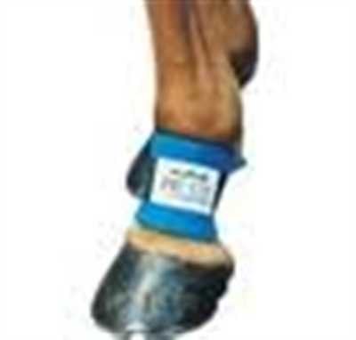 Pastern Wrap