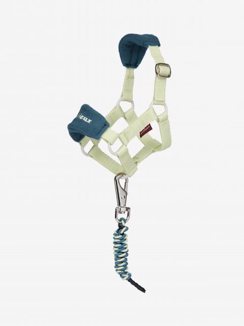 LeMieux LeMieux Toy Pony Vogue Headcollar - Macaron