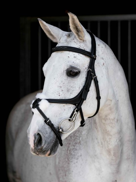 LeMieux LeMieux Kudos Grackle Work Bridle