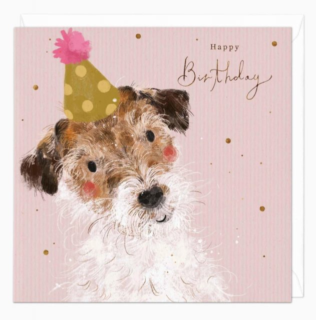 Whistlefish Whistlefish Bashful Jack Russel Birthday Card