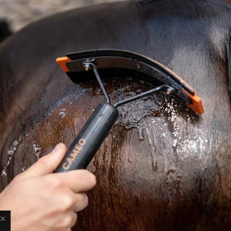 cameo curved ergonomic sweat scraper rubber blade studio orange 1