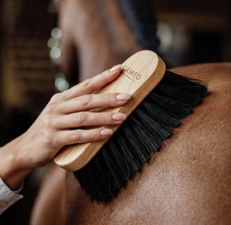 Screenshot 2026 09 22 142244
