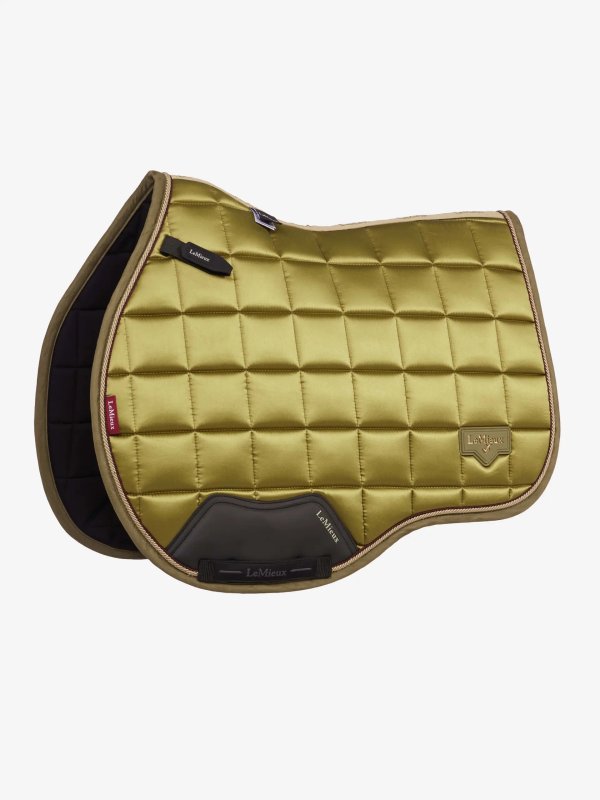it09183 product loireclassicgpsquare gooseberry 01