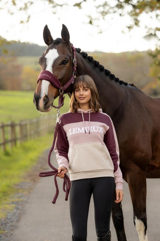 IT09273 lifestyle kadie colour block hoodie wild rose 01