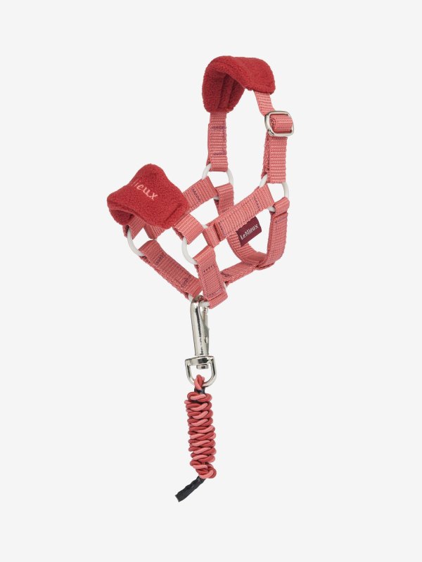 IT09319 product toyponyvogueheadcollar leadrope spicedearth 3