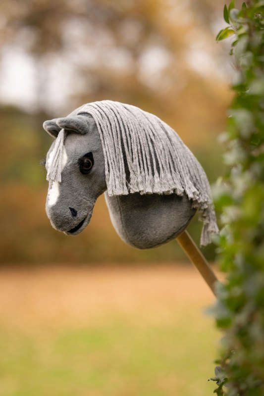 IT09325 lifestyle hobbyhorsemini smokey 1