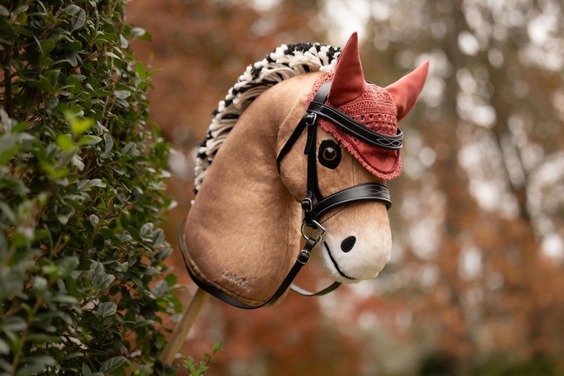 IT09328 lifestyle hobby horse fly hood spiced earth 02