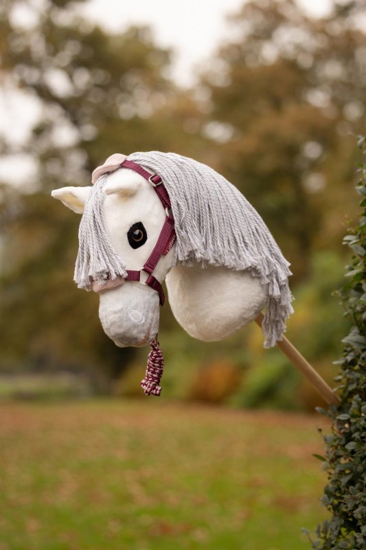 IT09329 lifestyle hobbyhorsevogueheadcollar blackberry 01